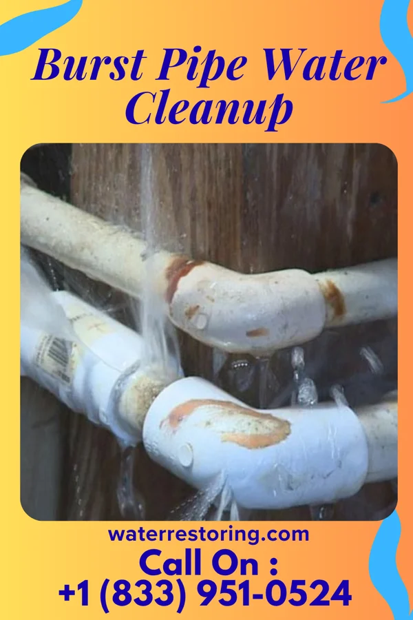 Burst Pipe Water Cleanup in Oak Park Heights, MN