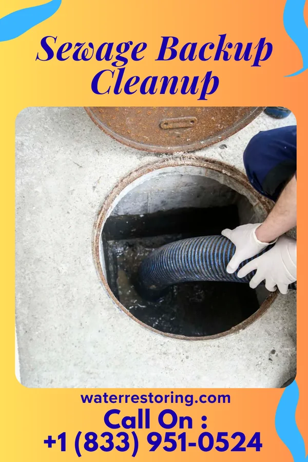 Sewage Backup Cleanup in Oak Park Heights, MN